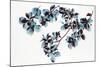 Dogwood-Jackie Battenfield-Mounted Giclee Print