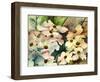 Dogwood-Neela Pushparaj-Framed Giclee Print