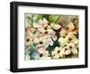 Dogwood-Neela Pushparaj-Framed Giclee Print