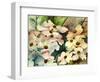 Dogwood-Neela Pushparaj-Framed Giclee Print