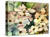 Dogwood-Neela Pushparaj-Stretched Canvas