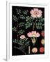 Dogwood-null-Framed Giclee Print