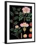 Dogwood-null-Framed Giclee Print