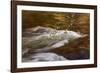 Dogwoods and Late Afternoon Light Reflected in Merced River-Vincent James-Framed Photographic Print