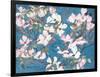 Dogwoods, Pink-Sharon Pitts-Framed Giclee Print