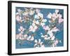 Dogwoods, Pink-Sharon Pitts-Framed Giclee Print