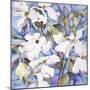 Dogwoods, White-Sharon Pitts-Mounted Giclee Print