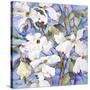 Dogwoods, White-Sharon Pitts-Stretched Canvas
