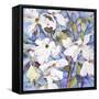 Dogwoods, White-Sharon Pitts-Framed Stretched Canvas