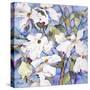 Dogwoods, White-Sharon Pitts-Stretched Canvas
