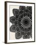 Doilies II-N. Harbick-Framed Art Print