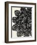 Doilies II-N. Harbick-Framed Art Print