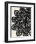 Doilies II-N. Harbick-Framed Art Print