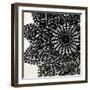 Doilies Sq II-N. Harbick-Framed Art Print