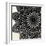 Doilies Sq II-N. Harbick-Framed Art Print