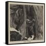 Doing Niagara-Arthur Boyd Houghton-Framed Stretched Canvas