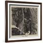 Doing Niagara-Arthur Boyd Houghton-Framed Giclee Print