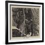 Doing Niagara-Arthur Boyd Houghton-Framed Giclee Print