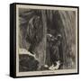 Doing Niagara-Arthur Boyd Houghton-Framed Stretched Canvas