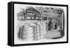 Doing the Ale Rounds at Barclay and Perkins Brewery-null-Framed Stretched Canvas