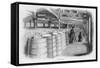 Doing the Ale Rounds at Barclay and Perkins Brewery-null-Framed Stretched Canvas