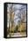 Doktorska, Park, Sofia, Bulgaria, Europe-Giles Bracher-Framed Stretched Canvas