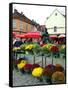 Dolac Market, Lower Town, Zagreb, Croatia-Lisa S. Engelbrecht-Framed Stretched Canvas