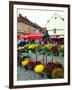 Dolac Market, Lower Town, Zagreb, Croatia-Lisa S. Engelbrecht-Framed Premium Photographic Print