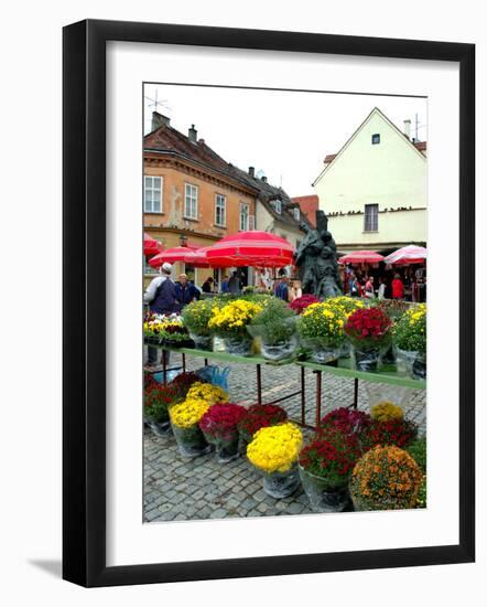 Dolac Market, Lower Town, Zagreb, Croatia-Lisa S. Engelbrecht-Framed Photographic Print