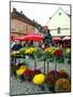 Dolac Market, Lower Town, Zagreb, Croatia-Lisa S. Engelbrecht-Mounted Photographic Print