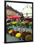 Dolac Market, Lower Town, Zagreb, Croatia-Lisa S. Engelbrecht-Framed Photographic Print