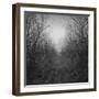 Dolazak-Tomislav Bogovic-Framed Photographic Print