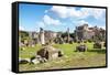 Dolce Vita Rome Collection - Antique Ruins Rome-Philippe Hugonnard-Framed Stretched Canvas