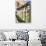 Dolce Vita Rome Collection - Architecture Columns-Philippe Hugonnard-Photographic Print displayed on a wall