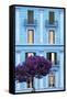 Dolce Vita Rome Collection - Blue Building Facade II-Philippe Hugonnard-Framed Stretched Canvas