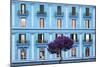 Dolce Vita Rome Collection - Blue Building Facade-Philippe Hugonnard-Mounted Photographic Print