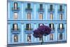 Dolce Vita Rome Collection - Blue Building Facade-Philippe Hugonnard-Mounted Photographic Print