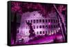 Dolce Vita Rome Collection - Colosseum at Pink Night-Philippe Hugonnard-Framed Stretched Canvas