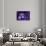 Dolce Vita Rome Collection - Colosseum at Purple Night-Philippe Hugonnard-Photographic Print displayed on a wall