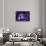 Dolce Vita Rome Collection - Colosseum at Purple Night-Philippe Hugonnard-Framed Photographic Print displayed on a wall