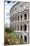 Dolce Vita Rome Collection - Colosseum IV-Philippe Hugonnard-Mounted Photographic Print