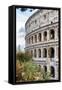 Dolce Vita Rome Collection - Colosseum IV-Philippe Hugonnard-Framed Stretched Canvas