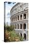 Dolce Vita Rome Collection - Colosseum IV-Philippe Hugonnard-Stretched Canvas