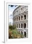 Dolce Vita Rome Collection - Colosseum IV-Philippe Hugonnard-Framed Photographic Print