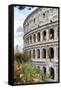 Dolce Vita Rome Collection - Colosseum IV-Philippe Hugonnard-Framed Stretched Canvas