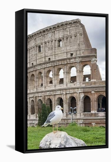 Dolce Vita Rome Collection - Colosseum of Rome VI-Philippe Hugonnard-Framed Stretched Canvas