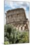 Dolce Vita Rome Collection - Colosseum XII-Philippe Hugonnard-Mounted Photographic Print