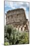 Dolce Vita Rome Collection - Colosseum XII-Philippe Hugonnard-Mounted Photographic Print