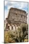 Dolce Vita Rome Collection - Colosseum XIII-Philippe Hugonnard-Mounted Photographic Print