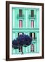 Dolce Vita Rome Collection - Coral Green Building Facade II-Philippe Hugonnard-Framed Photographic Print